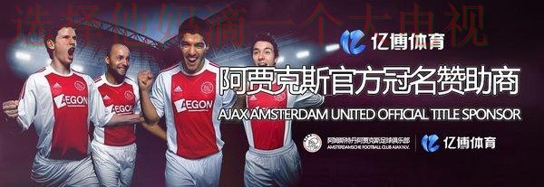 亿博体育网页版入口官网解析